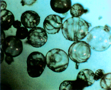 シラスバルーンの顕微鏡写真